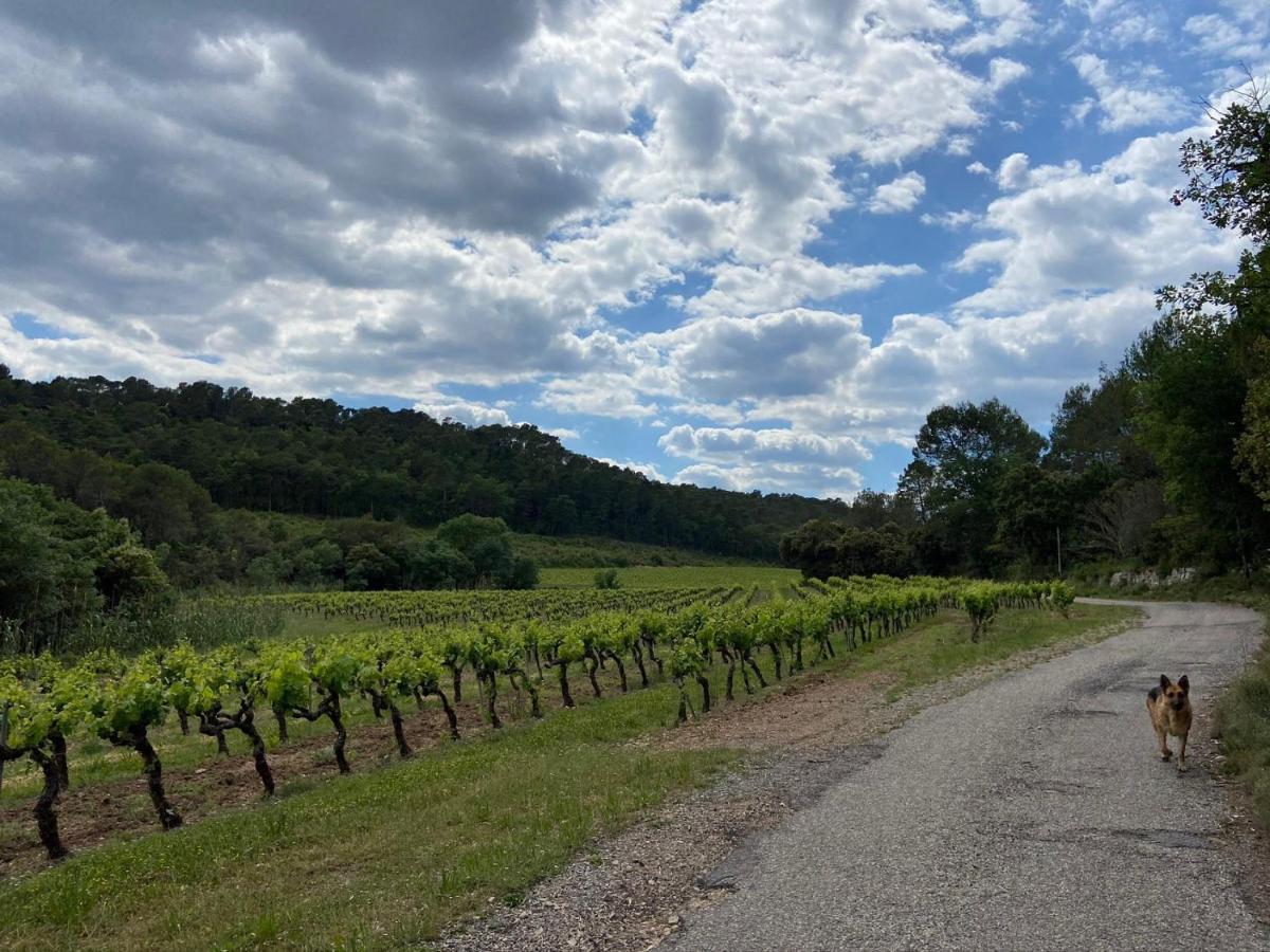 코티냑 Domaine Le Petit Hameau 아파트 호텔 외부 사진